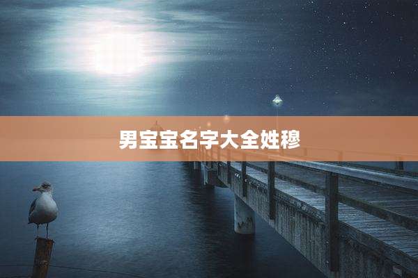 男宝宝名字大全姓穆
