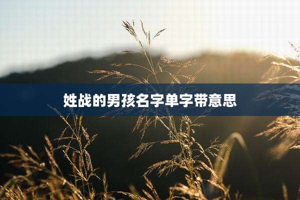 姓战的男孩名字单字带意思