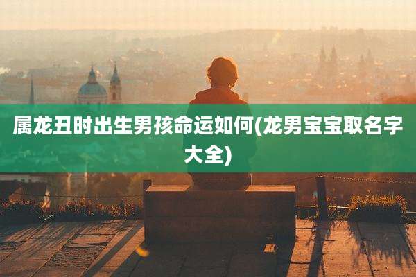 属龙丑时出生男孩命运如何(龙男宝宝取名字大全)