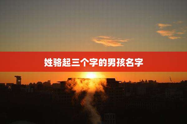 姓骆起三个字的男孩名字