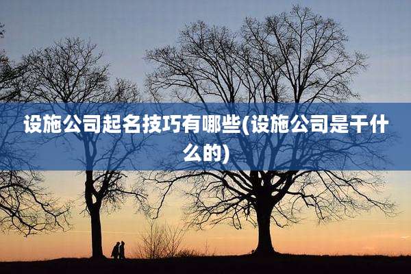 设施公司起名技巧有哪些(设施公司是干什么的)