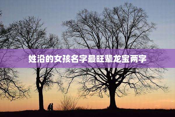 姓沿的女孩名字最旺辈龙宝两字