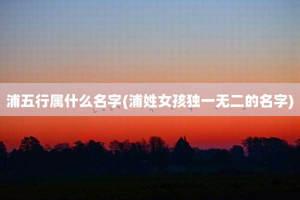 浦五行属什么名字(浦姓女孩独一无二的名字)