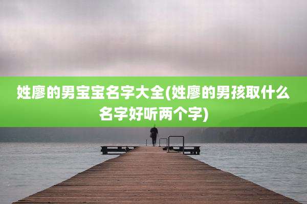 姓廖的男宝宝名字大全(姓廖的男孩取什么名字好听两个字)