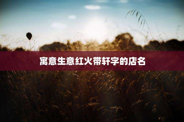 寓意生意红火带轩字的店名