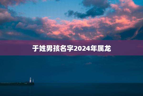 于姓男孩名字2024年属龙
