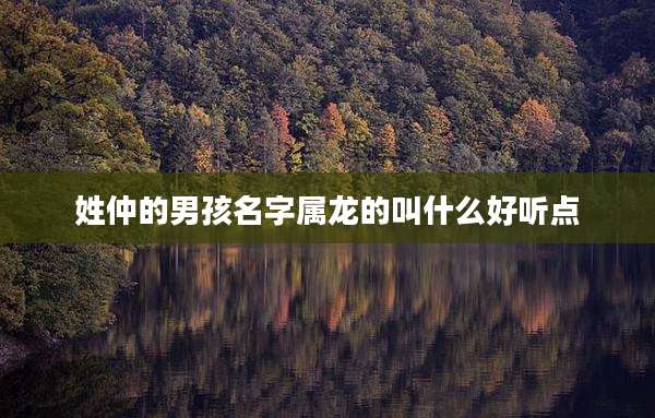 姓仲的男孩名字属龙的叫什么好听点