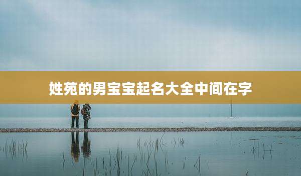 姓苑的男宝宝起名大全中间在字