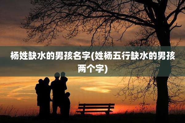 杨姓缺水的男孩名字(姓杨五行缺水的男孩两个字)