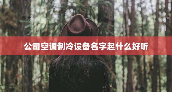公司空调制冷设备名字起什么好听