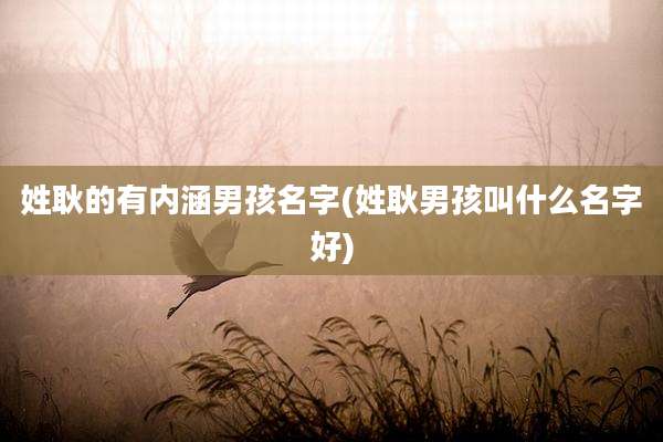 姓耿的有内涵男孩名字(姓耿男孩叫什么名字好)