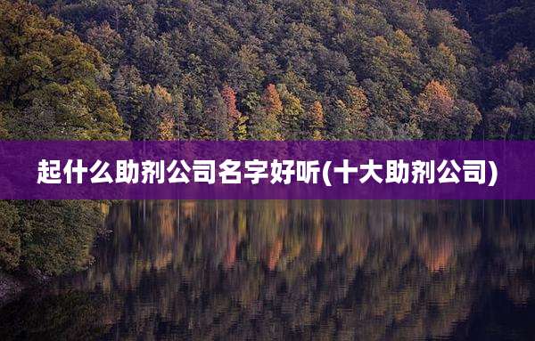 起什么助剂公司名字好听(十大助剂公司)