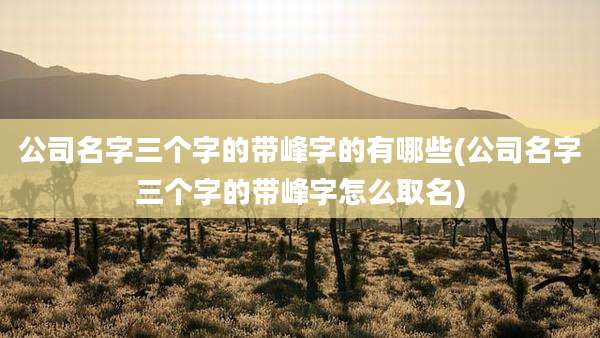 公司名字三个字的带峰字的有哪些(公司名字三个字的带峰字怎么取名)