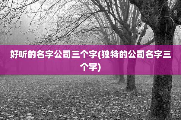 好听的名字公司三个字(独特的公司名字三个字)