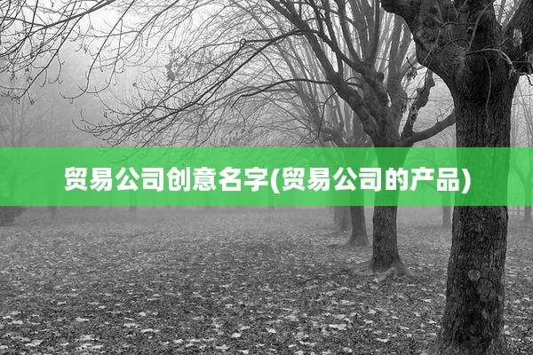 贸易公司创意名字(贸易公司的产品)