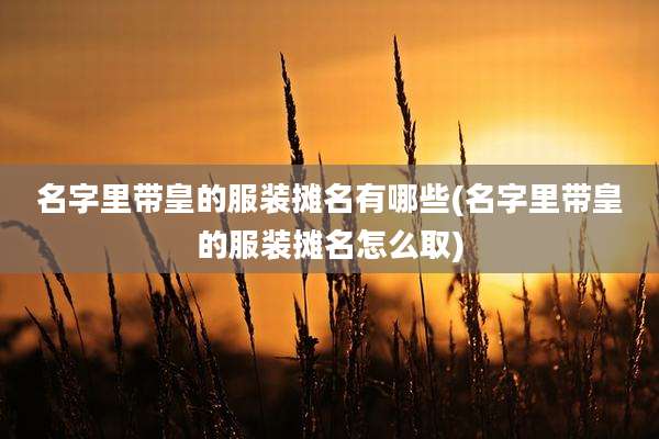 名字里带皇的服装摊名有哪些(名字里带皇的服装摊名怎么取)