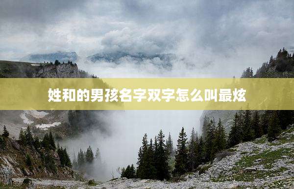 姓和的男孩名字双字怎么叫最炫