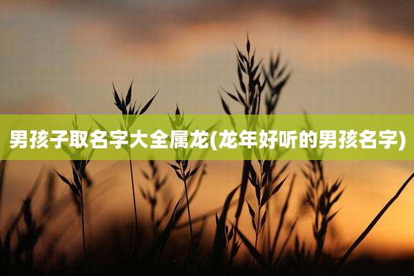男孩子取名字大全属龙(龙年好听的男孩名字)