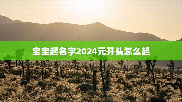 宝宝起名字2024元开头怎么起