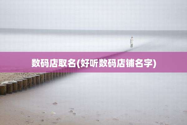 数码店取名(好听数码店铺名字)