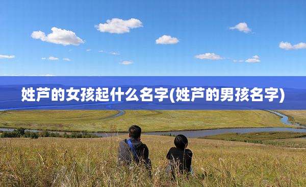 姓芦的女孩起什么名字(姓芦的男孩名字)