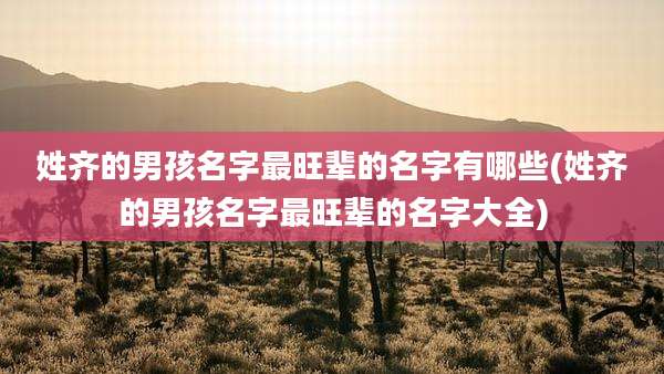 姓齐的男孩名字最旺辈的名字有哪些(姓齐的男孩名字最旺辈的名字大全)