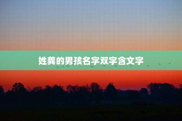 姓龚的男孩名字双字含文字
