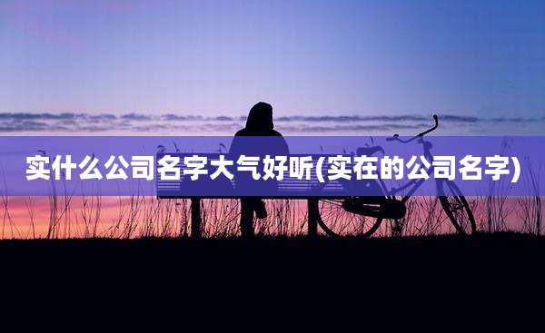 实什么公司名字大气好听(实在的公司名字)
