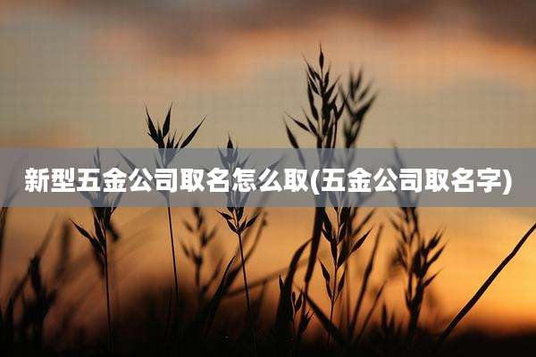 新型五金公司取名怎么取(五金公司取名字)