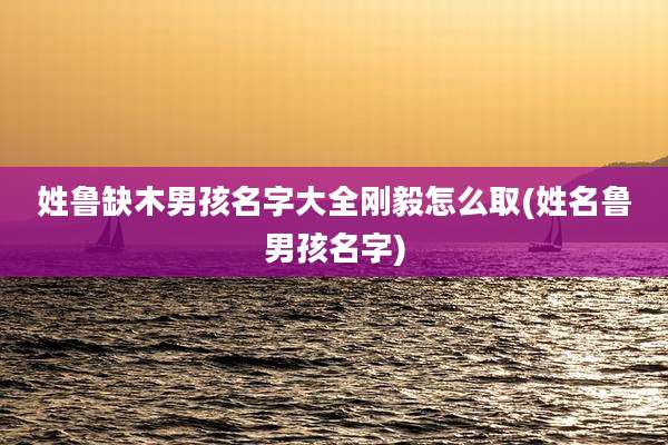 姓鲁缺木男孩名字大全刚毅怎么取(姓名鲁男孩名字)