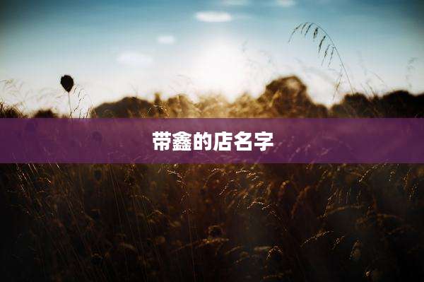 带鑫的店名字