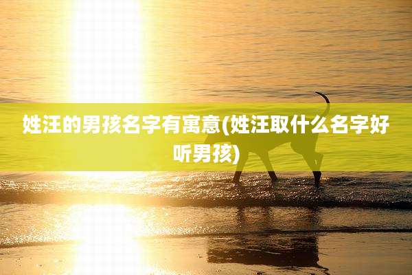 姓汪的男孩名字有寓意(姓汪取什么名字好听男孩)