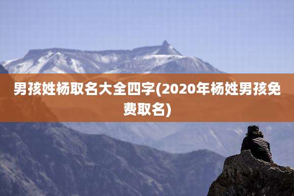 男孩姓杨取名大全四字(2020年杨姓男孩免费取名)