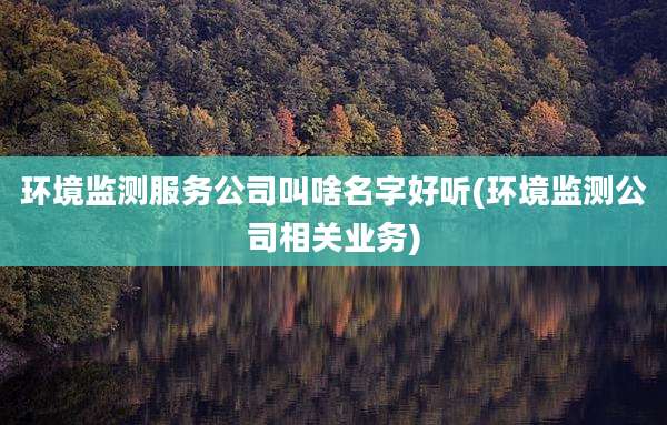 环境监测服务公司叫啥名字好听(环境监测公司相关业务)