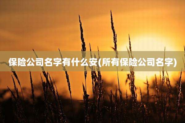 保险公司名字有什么安(所有保险公司名字)