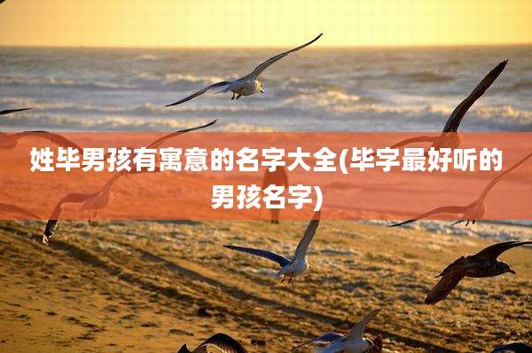姓毕男孩有寓意的名字大全(毕字最好听的男孩名字)