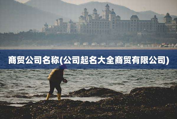 商贸公司名称(公司起名大全商贸有限公司)