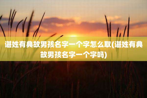 谌姓有典故男孩名字一个字怎么取(谌姓有典故男孩名字一个字吗)