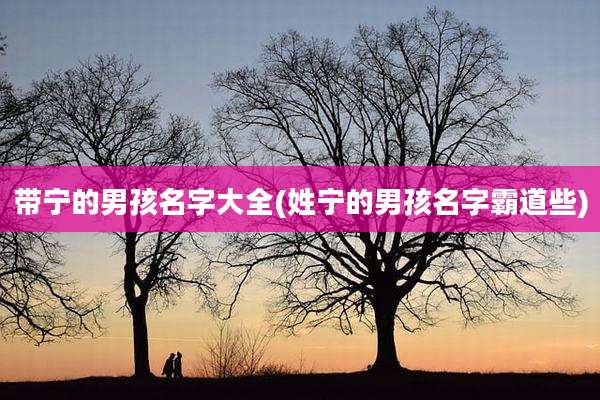 带宁的男孩名字大全(姓宁的男孩名字霸道些)