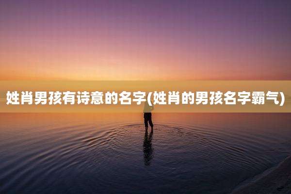 姓肖男孩有诗意的名字(姓肖的男孩名字霸气)