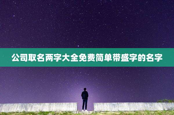 公司取名两字大全免费简单带盛字的名字