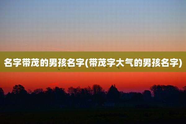 名字带茂的男孩名字(带茂字大气的男孩名字)