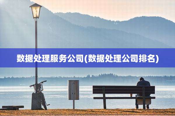 数据处理服务公司(数据处理公司排名)