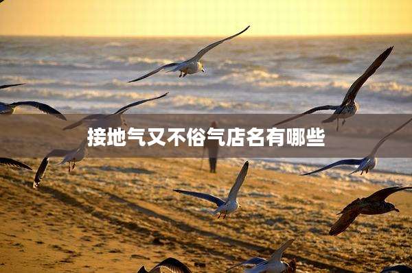接地气又不俗气店名有哪些