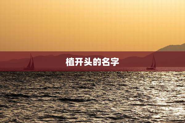 植开头的名字