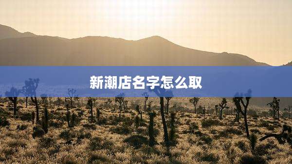 新潮店名字怎么取