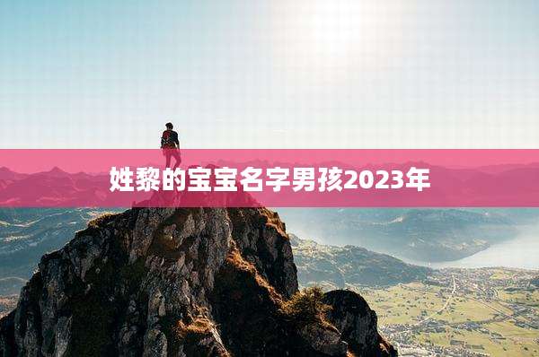 姓黎的宝宝名字男孩2023年