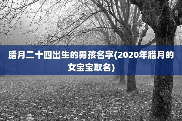 腊月二十四出生的男孩名字(2020年腊月的女宝宝取名)
