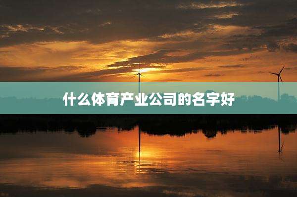 什么体育产业公司的名字好