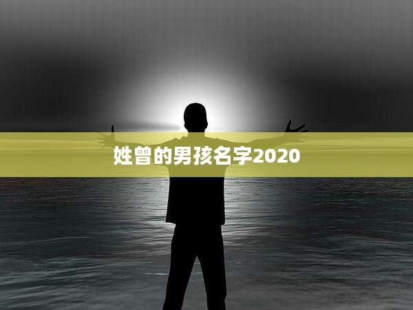 姓曾的男孩名字2020